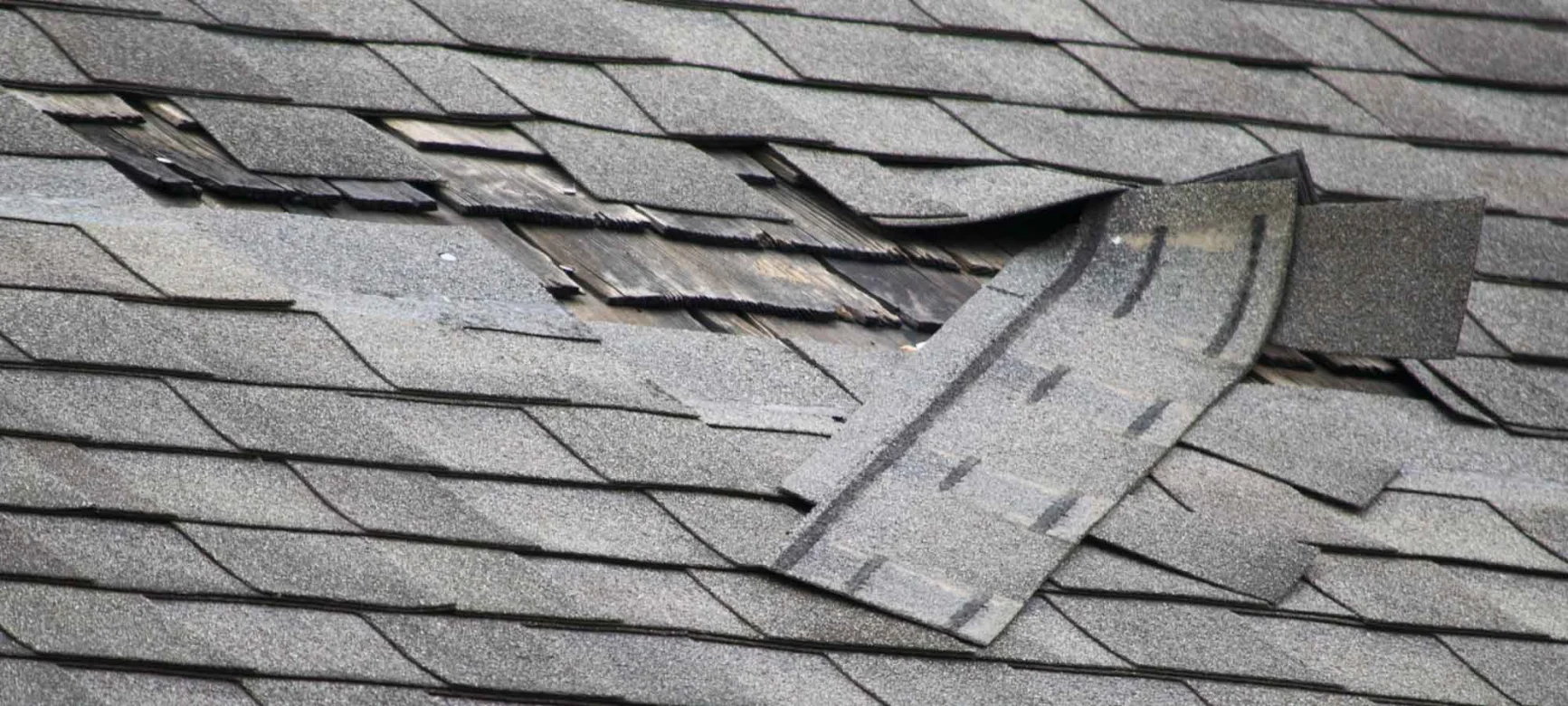 Damaged roof in need of repair